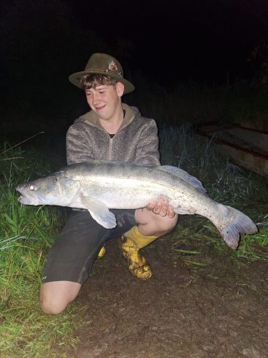 Zander mit 84cm länge